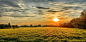 sunset, Field, Trees, Landscape, Autumn
