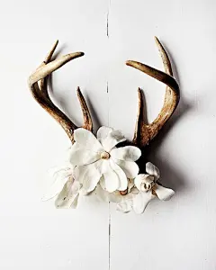 设计｜LOFTER 【木兰花插画摄影】不知是因为摄影师的天职还是因为Kari Herer本身就对这种美好事物有着特殊的情感审美，她似乎对每朵花都有着自己不同的故事。Kari Herer将一朵朵正直艳丽的花朵与几笔简单的单色线描画进行拼贴并合影留念，最终将这一幕花开最美的时刻做成相框版画。特殊的艺术创作绝不是有意拼凑，让无声的花开绽放永远的定格在胶片上，就像生活一样多数时间多于美好。@北坤人素材