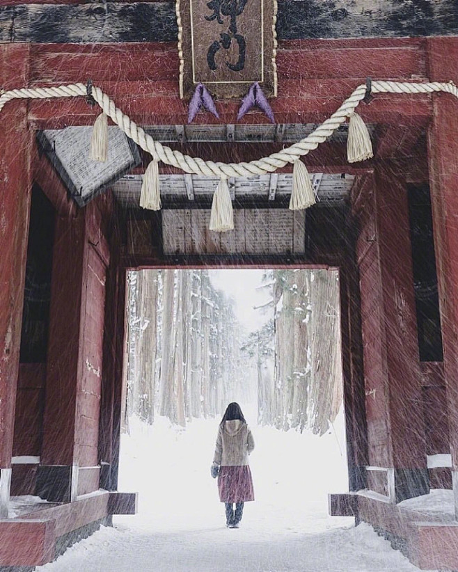 日本雪国中的户隐神社奥社，聆听百年杉树诉说着岛国的沧海往事。