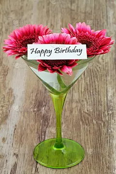 生日贺卡和粉红色非洲菊在马提尼杯