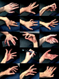 #绘画参考# 超过100只爪，能练完算你厉害
（图源：Pinterest） ​​​​
