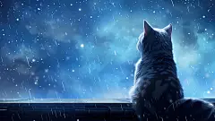 板绘插画 动漫场景 二次元背景图 猫咪 星雨