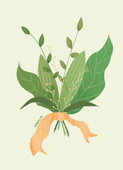 小命岛采集到插画-植物