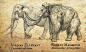 自然历史博物馆科普式动物插画-美国Beth Zaiken [26P] (10).jpg