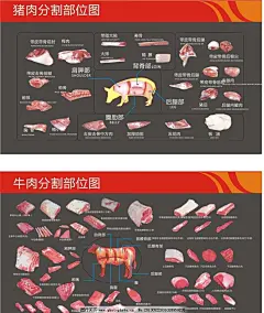 猪肉及牛肉分割图