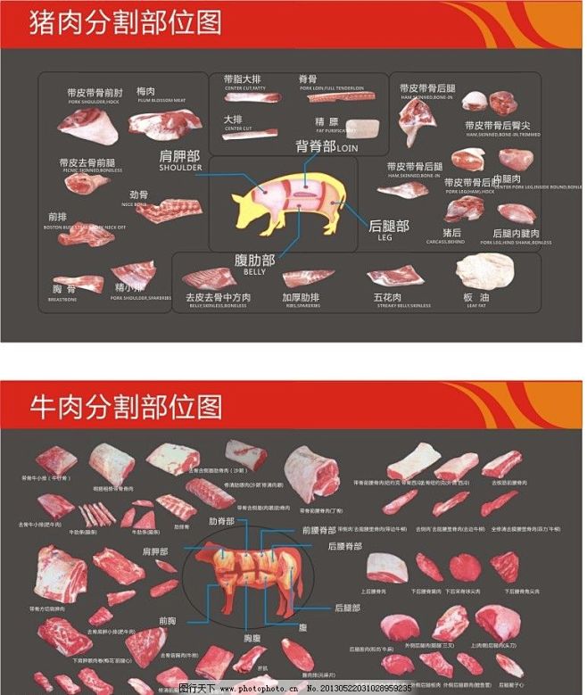 猪肉及牛肉分割图