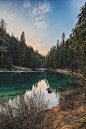 Landscape Photo of Riverand Pine Trees