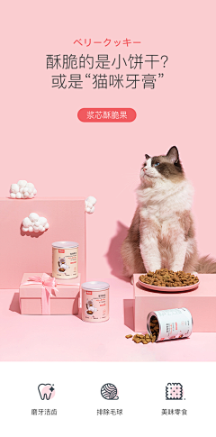 Of6iQ9If采集到猫