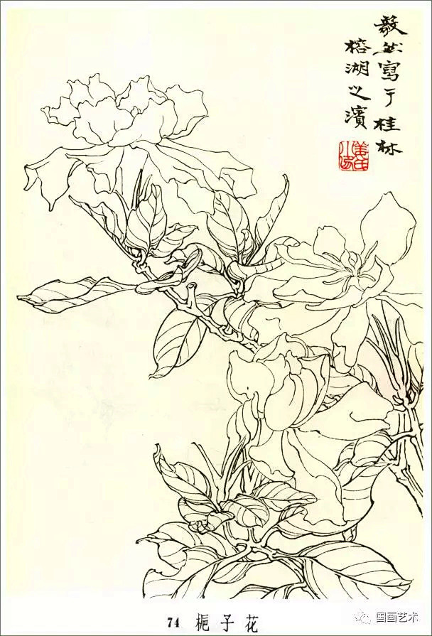 姜毅然白描花卉集喜欢拿去