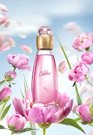 合成 创意 灵感