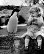 she-thinks: (via: capucha) penguins and babies - two of my favorite things