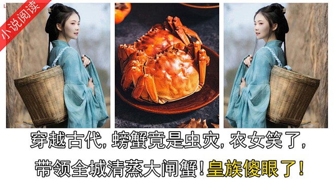 小说类-古言剧情三拼-图-横版-李岚松-...