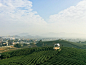 茶山浮亭 / 由牧建筑 – mooool木藕设计网