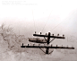 The Upper Michigan Blizzard of 1938 
Image Credit: Bill Brinkman; Courtesy: Paula Rocco
Explanation: Yes, but can your blizzard do this? In Upper Michigan's Storm of the Century in 1938, some snow drifts reached the level of utility poles. Nearly a meter 