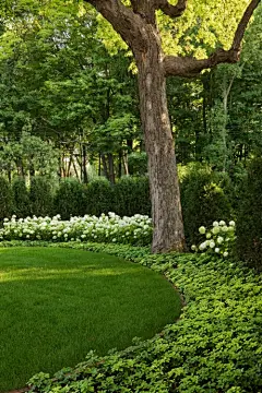 【景观绿篱植物设计图集下载】绿墙模纹花坛/法式园林花园/植物树木修剪迷宫