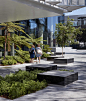 QUT Education Precinct & Pedestrian Spine | TCL