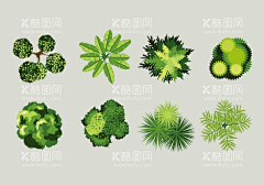 花鱼子采集到插画|摄影
