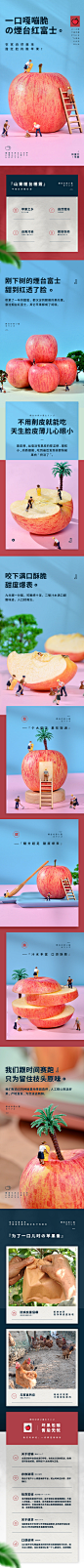 红富士苹果——色卡微距小人详情页设计