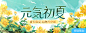 元气 初夏 夏天 向日葵