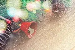 圣诞节的卡片。针叶树枝和雪花上禾