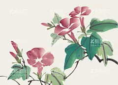 牵牛花  - 源文件下载【酷图网】百花争艳,国画百花争艳,国画,花鸟画,花,水墨画,花朵,红花,手绘花朵,手绘花,水墨画花,抽象花,工笔画,月季,牡丹,水墨荷花,