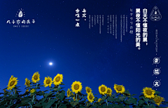 Three-33采集到平面
