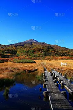 秋叶之山