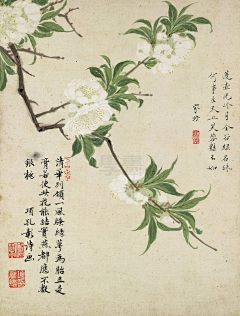leona钟秋采集到国风插画