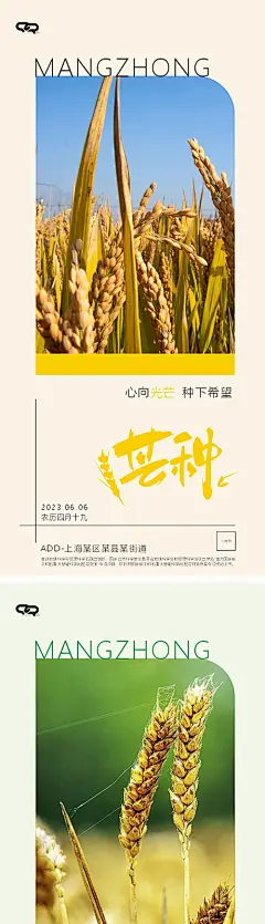 海报 二十四节气 芒种 麦穗 花鸟 手绘 简约 系列
