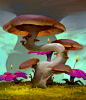 GroveShroom, David Frasheski : Concept asset for Grove IP