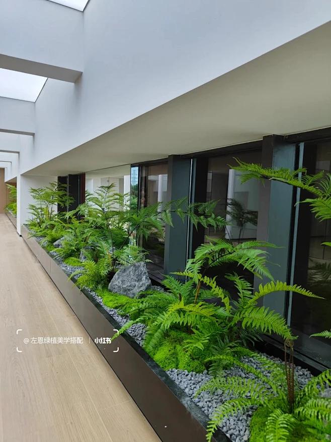绿植租赁，景观设计落地、绿植造景、阳台改_1_左恩绿植美学搭配_来自小红书网页版-花瓣网