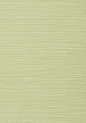 T75153 : TALUK SISAL, Willow, T75153, Collection Faux Resource from Thibaut