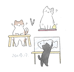 B7r2WTCJ采集到猫