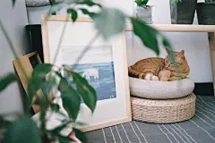 [有鹿为安Ulu]原创插画现代简约文艺清新装饰画客厅卧室墙画挂画-淘宝网