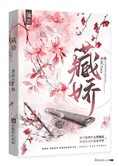 古风封面设计-藏娇设计：沅池
素材：光源酱
题字：夙萸