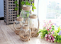 美式透明简约现代创意个性玻璃花瓶客厅卧室摆件家居插花水培花器-淘宝网