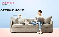 可爱宠物猫咪狗狗和人相处生活工作海报画报PSD设计模板psd505-淘宝网