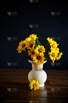 花束,黄色,雏菊,黑色,巨大的,垂直画幅,美,贺卡,无人,夏天