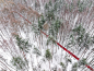 艺术家 Gregory Orekhov 最近在莫斯科的 Malecvich 公园完成了他的最新作品《Nowhere》。由聚丙烯制成的红地毯绵延 250 米，横跨白雪皑皑的森林。四周环绕着广阔的自然景观，地毯仿佛画在白色画布上的一条无尽的线。 ​​​​