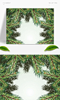 绿植松木框架边框设计矢量图素材