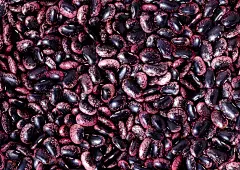 紫色红豆食材壁纸图片