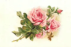 Vintage Art Roses Group Prints Postcard : Free clipart,pattern and backgrounds,Art images,Textile digital prints,Decoupage free printable transfers,Gif animated images,