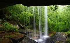 纯洁的自然美景图片壁纸大全 第13页-ZOL桌面壁纸