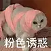 猫狗表情包