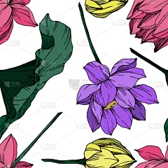 莲花,植物学,黑色,仅一朵花,纺织品,荷花,壁纸,植物群,春天,花