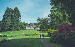 莫奈的花园壁纸