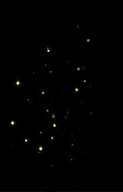 千库网_光效闪烁星光发光闪闪发光动图gif_GIF编号69953-花瓣网