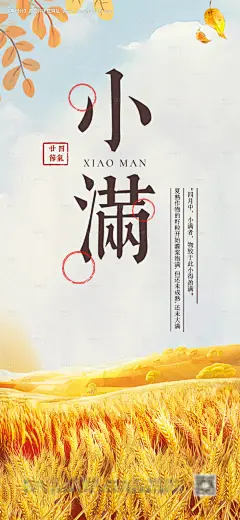 源文件下载【小满节气海报】编号：62120004392569288