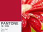 9.18、 2019年PANTONE流行色出炉，外加历年年度流行色最全分析！_颜色 : 各位船员， “我” 设计师做设计少不了配色，而说到色彩界的权威就不得不提到 PANTONE公司了。 而2019年的PANTONE流行色也新鲜出炉，在这里小编先卖个关子，带大家看一看历年的…