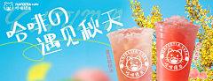 安琪拉熊宝宝采集到茶倍思